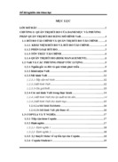 Quản trị rủi ro bằng mô hình VaR và phương pháp sử dụng Copula điều kiện