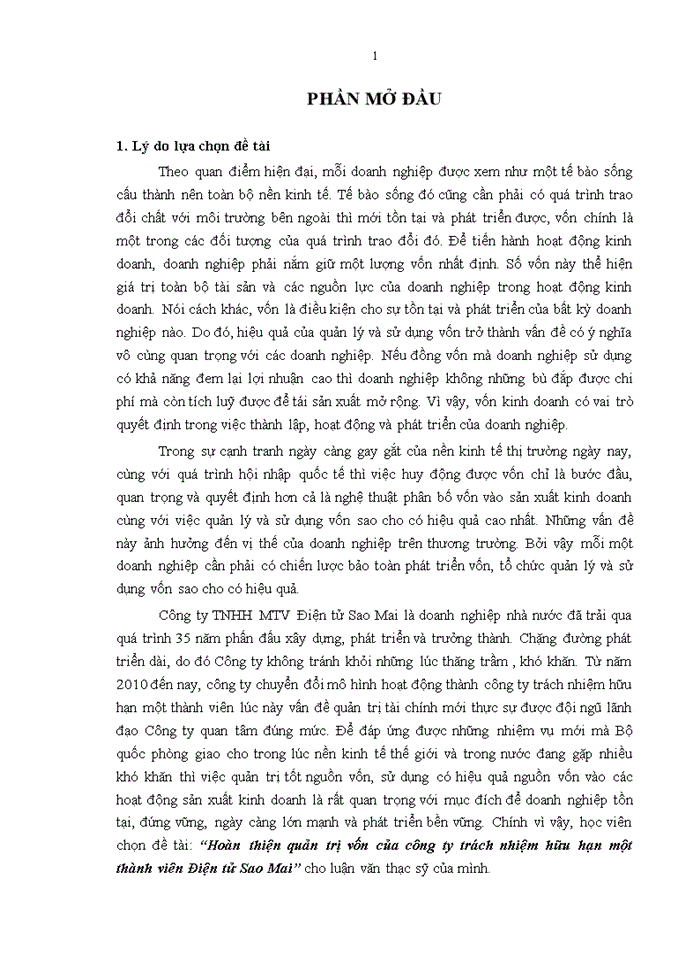 image for page Hoàn thiện quản trị vốn của công ty trách nhiệm hữu hạn một thành viên Điện tử Sao Mai