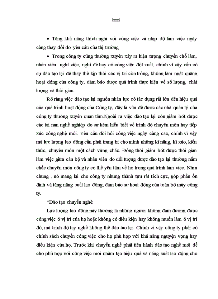 image for page Giải pháp sử dụng có hiệu quả nguồn nhân lực tại Công ty cổ phần phát triển đô thị Nam Hà Nội -Tập đoàn VINGROUP