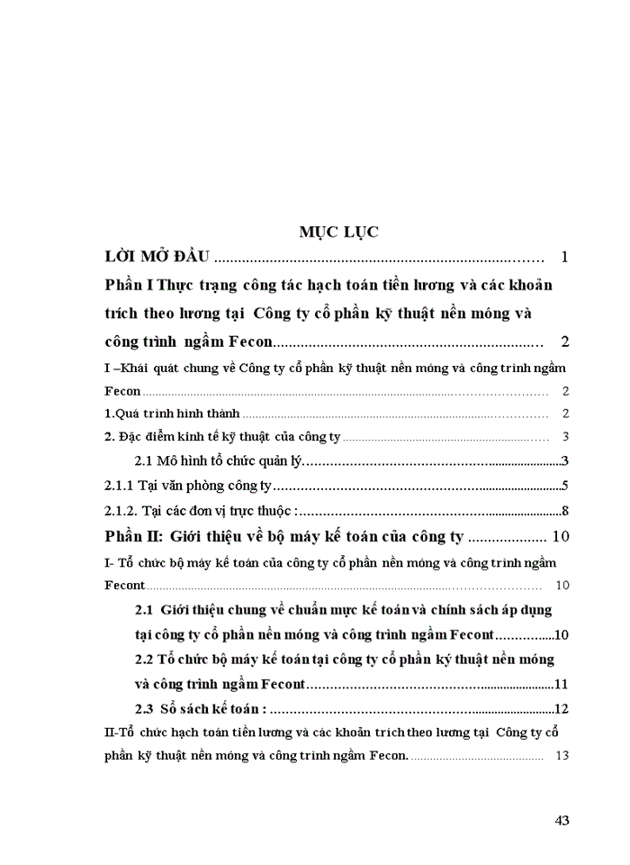 image for page Hoàn thiện công tác hạch toán tiền lương và các khoản trích theo lương tại Công ty cổ phần kỹ thuật nền móng và công trình ngầm Fecont