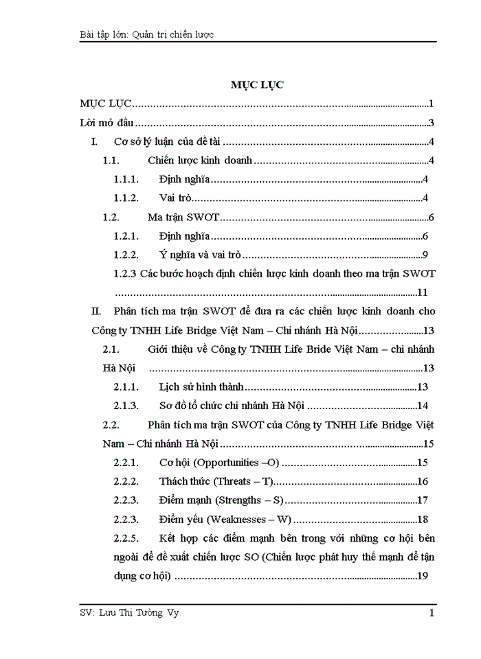 image for page Phân tích ma trận SWOT để đưa ra các chiến lược kinh doanh cho Công ty TNHH Life Bridge Việt Nam – Chi nhánh Hà Nội