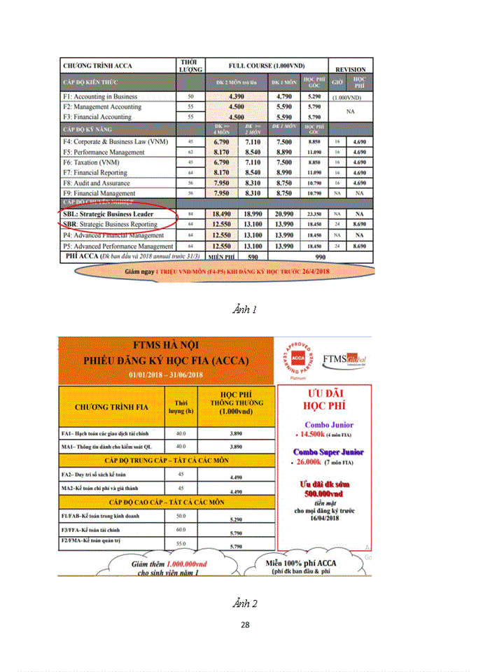 image for page Marketing of FTMS Global in Ha Noi: Current Situation and Solutions