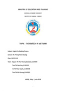 The fintech in vietnam