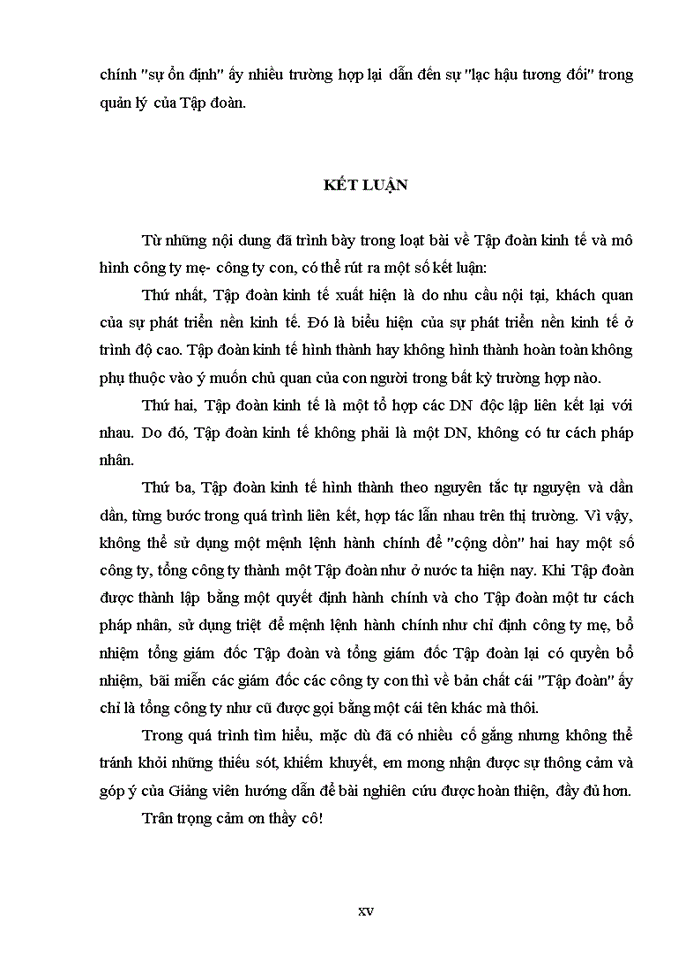 image for page Mô hình tập đoàn kinh tế tại việt nam