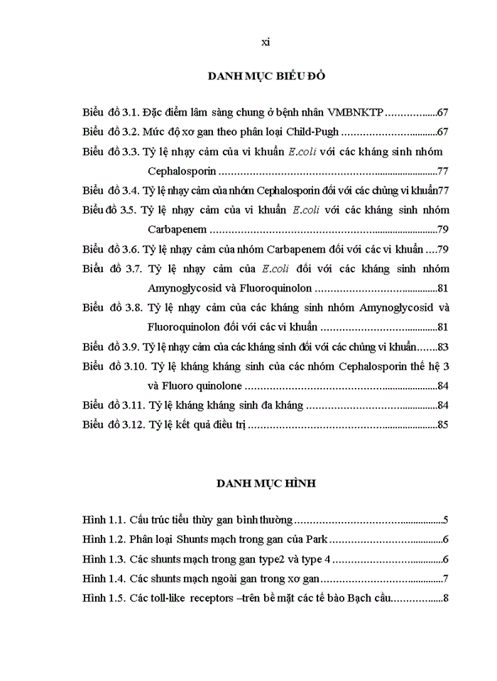 image for page Một số đặc điểm lâm sàng, cận lâm sàng và kết quả điều trị viêm màng bụng nhiễm khuẩn tự phát ở bệnh nhân xơ gan