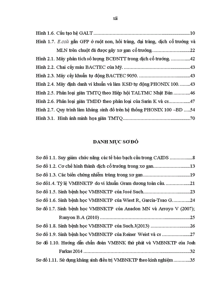 image for page Một số đặc điểm lâm sàng, cận lâm sàng và kết quả điều trị viêm màng bụng nhiễm khuẩn tự phát ở bệnh nhân xơ gan