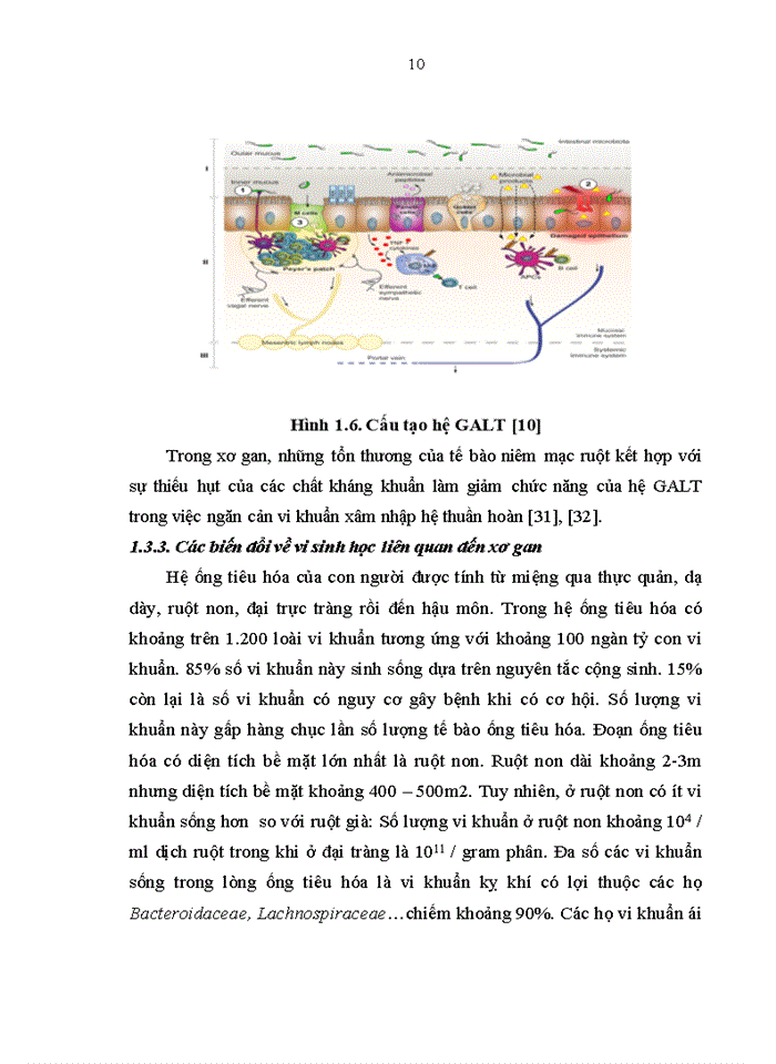 image for page Một số đặc điểm lâm sàng, cận lâm sàng và kết quả điều trị viêm màng bụng nhiễm khuẩn tự phát ở bệnh nhân xơ gan