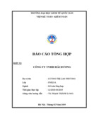 Đánh giá về tình hình tổ chức hạch toán kế toán tại công ty tnhh hải dương