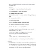 Liên minh tiền tệ quốc tế và triển vọng liên minh tiền tệ của Việt Nam (AEC)