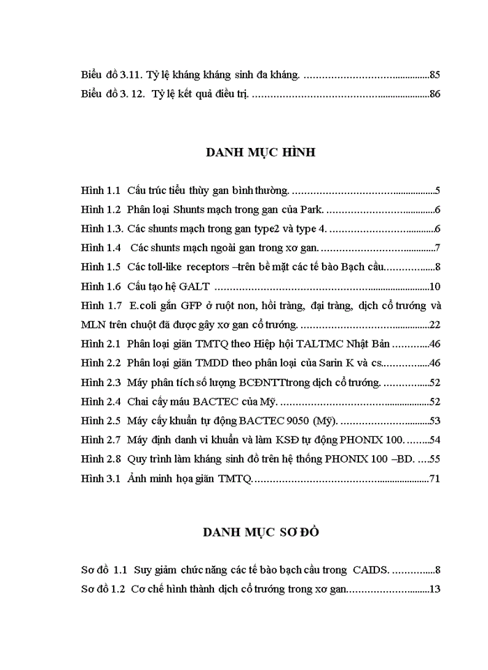 image for page Nghiên cứu đặc điểm lâm sàng, cận lâm sàng và điều trị viêm màng bụng nhiễm khuẩn tự phát ở bệnh nhân xơ gan