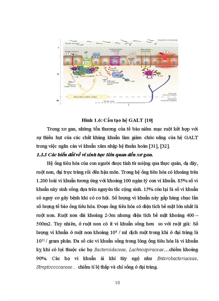 image for page Nghiên cứu đặc điểm lâm sàng, cận lâm sàng và điều trị viêm màng bụng nhiễm khuẩn tự phát ở bệnh nhân xơ gan