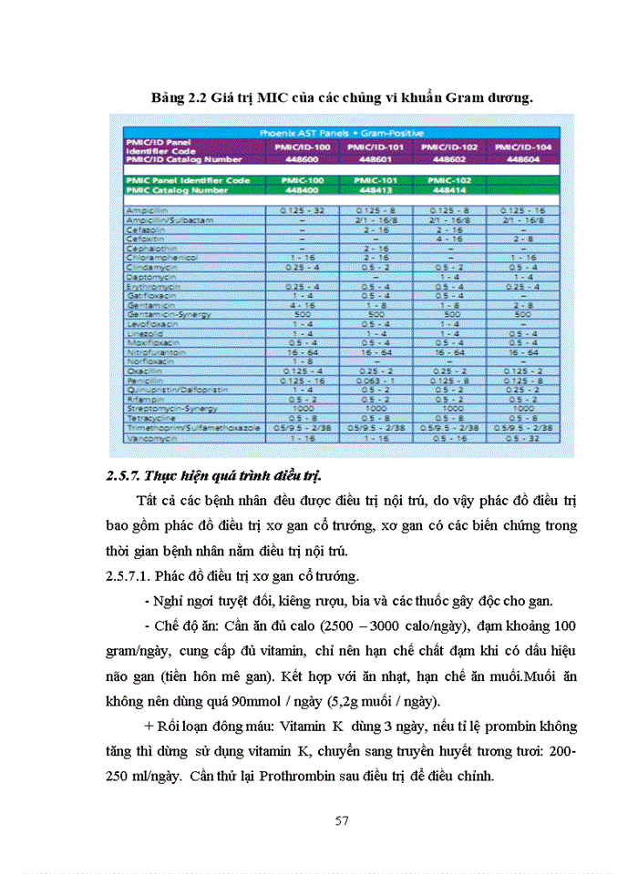 image for page Nghiên cứu đặc điểm lâm sàng, cận lâm sàng và điều trị viêm màng bụng nhiễm khuẩn tự phát ở bệnh nhân xơ gan