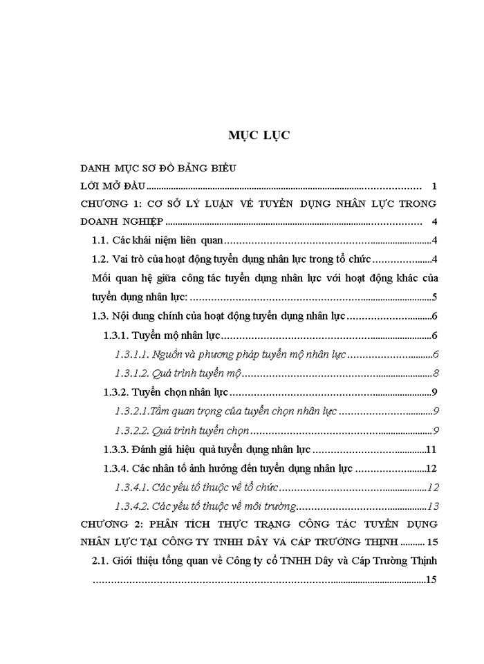 image for page Hoàn thiện công tác tuyển dụng nhân lực tại Công ty TNHH dây và cáp điện Trường Thịnh