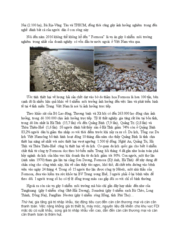 image for page Các ảnh hưởng tiêu cực của nguồn vốn đầu tư Quốc tế FDI đến sự phát triển kinh tế bền vững của Việt Nam