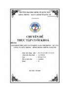 Giải pháp thúc đấy xuất khẩu sang thị trường eu của công ty giầy thượng đình trong những năm tới