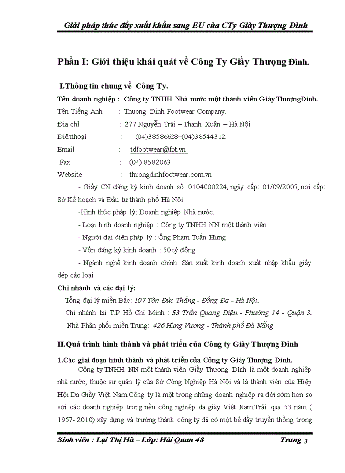 image for page Giải pháp thúc đấy xuất khẩu sang thị trường eu của công ty giầy thượng đình trong những năm tới