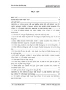 Tổ chức bộ máy kế toán và hệ thống kế toán tại công ty cổ phần Du lịch và Thương mại Song Mai.