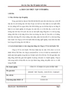 Lịch sử hình thành và chức năng hoạt động của Công ty CP du lịch Xuyên Việt