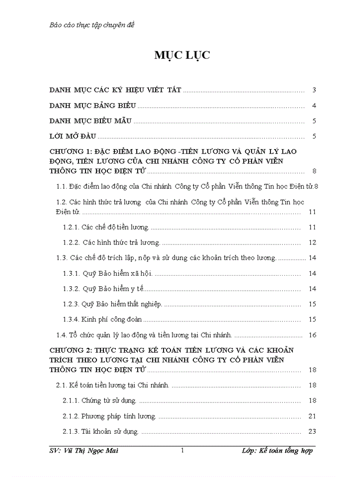 image for page Hoàn thiện kế toán tiền lương và các khoản trích theo lương tại Chi nhánh Công ty Cổ phần Viễn thông Tin học Điện tử