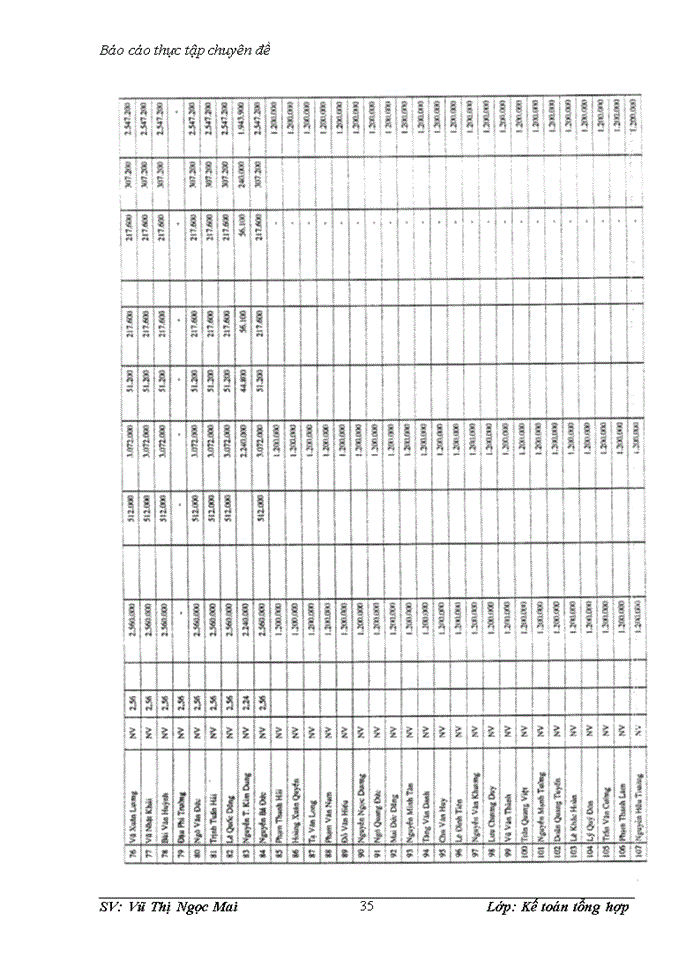 image for page Hoàn thiện kế toán tiền lương và các khoản trích theo lương tại Chi nhánh Công ty Cổ phần Viễn thông Tin học Điện tử