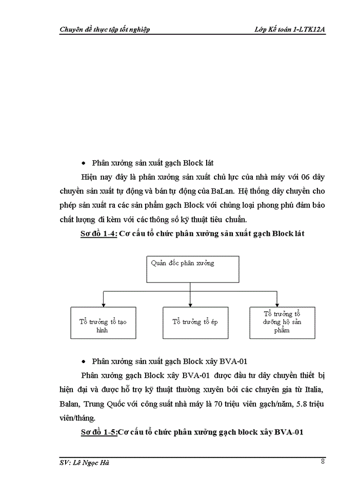 image for page Hoàn thiện kế toán chi phí sản xuất và tính gia thành sản phẩm tại công ty TNHH Việt Anh