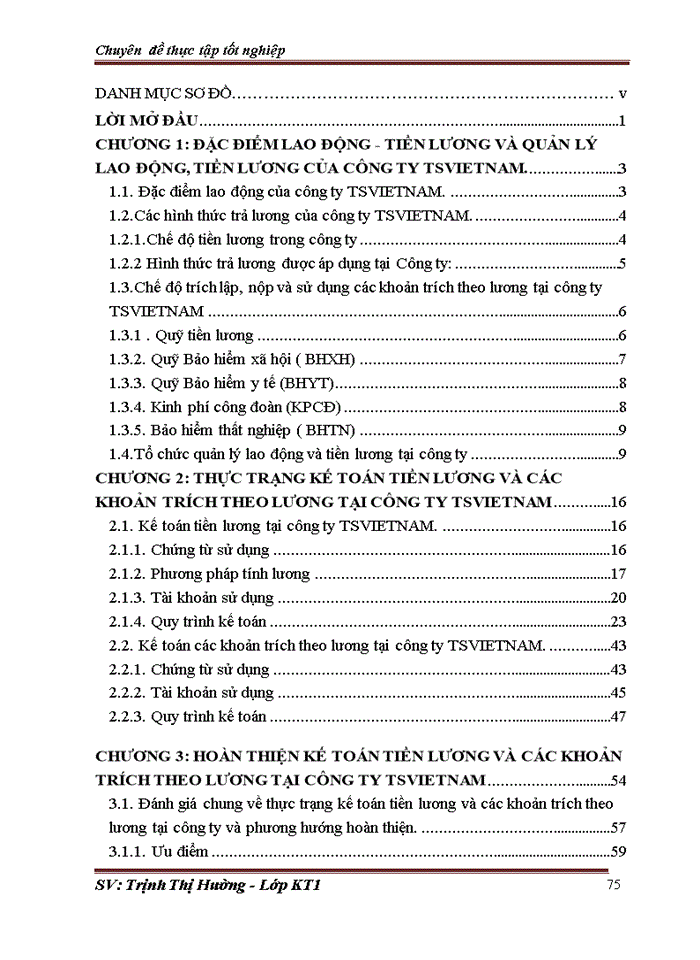 image for page Hoàn thiện kế toán tiền lương và các khoản trích theo lương tại công ty cổ phần đầu tư thương mại và giải pháp tổng thể VIỆT NAM
