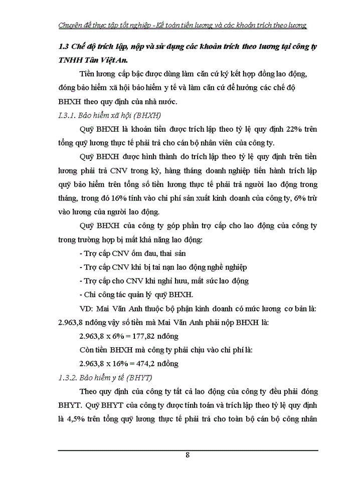 image for page Hoàn thiện kế toán tiền lương và các khoản trích theo lương tại Công ty TNHH Tân Việt An