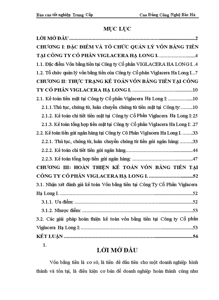 Hoàn thiện  kế toán vốn bằng tiền tại Công ty Cổ phần VIGLACERA HẠ LONG I