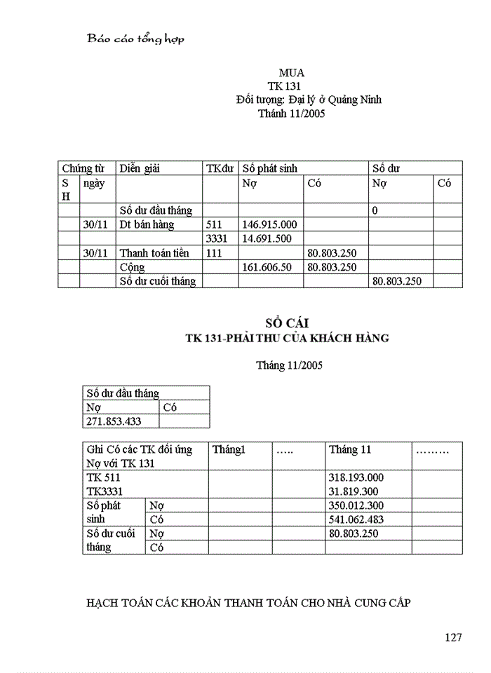 image for page Báo cáo kế toán tổng hợp
