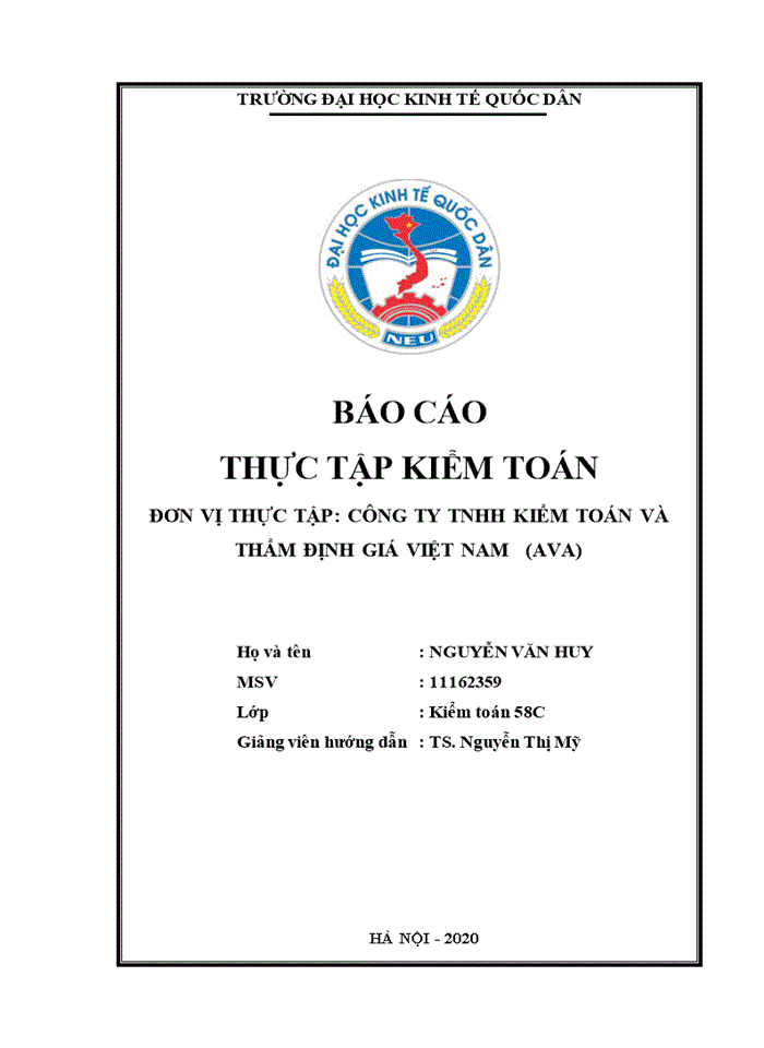 Các giải pháp đề xuất tổ chức và hoạt động của công ty tnhh kiểm toán và thảm định giá việt nam ava