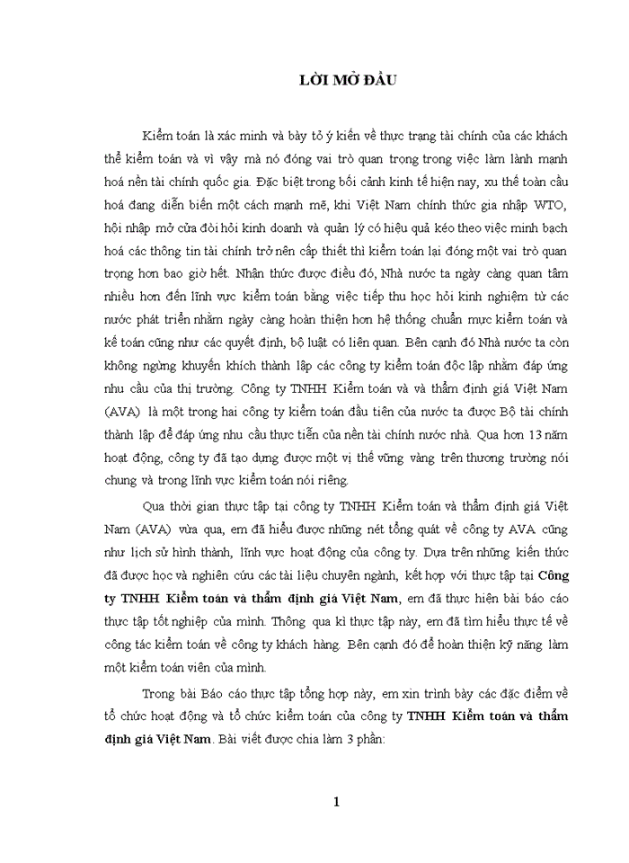 Các giải pháp đề xuất tổ chức và hoạt động của công ty tnhh kiểm toán và thảm định giá việt nam ava
