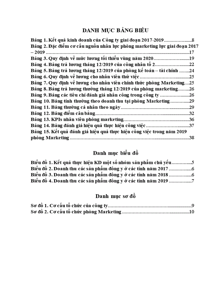 image for page Cải thiện hệ thống lương thưởng cho nhân viên phòng Marketing tại Công ty cổ phần Dược Phẩm Trí Lực