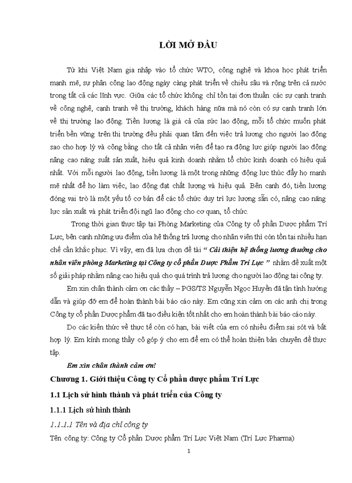 image for page Cải thiện hệ thống lương thưởng cho nhân viên phòng Marketing tại Công ty cổ phần Dược Phẩm Trí Lực