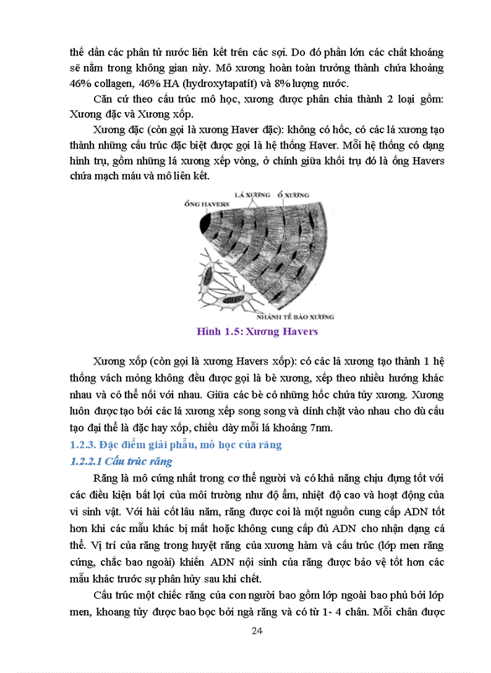 image for page Nghiên cứu xây dựng quy trình xác định danh tính HCLS còn thiếu thông tin