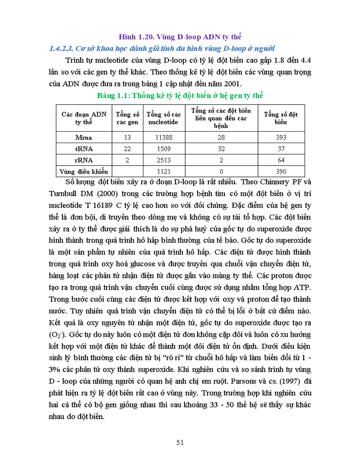 image for page Nghiên cứu xây dựng quy trình xác định danh tính HCLS còn thiếu thông tin