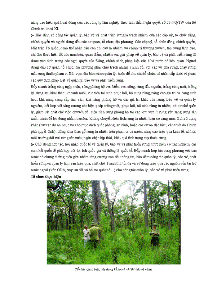 image for page Lập một dự án bất kỳ của em và tính các chỉ tiêu hiệu quả (npv và irr)