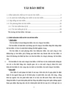 Thị trường tái bảo hiểm việt nam