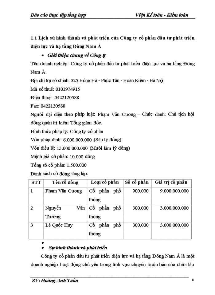 image for page Đánh giá khái quát về tình hình tổ chức kế toán tại Công ty cổ phần đầu tư phát triển điện lực và hạ tầng Đông Nam Á