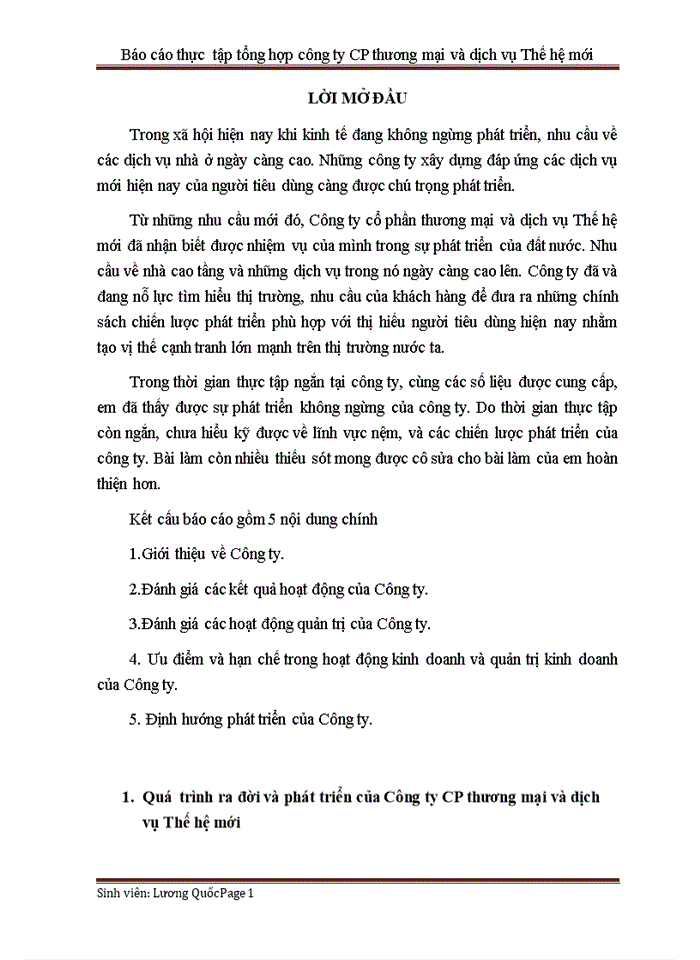 image for page Báo cáo thực tập tổng hợp tại công ty cổ phần thương mại và dịch vụ thế hệ mới