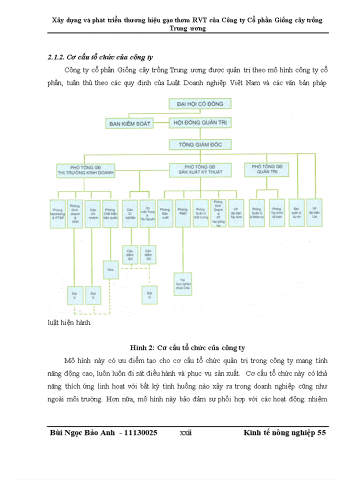 image for page Xây dựng và phát triển thương hiệu gạo thơm RVT của Công ty Cổ phần Giống cây trồng Trung ương