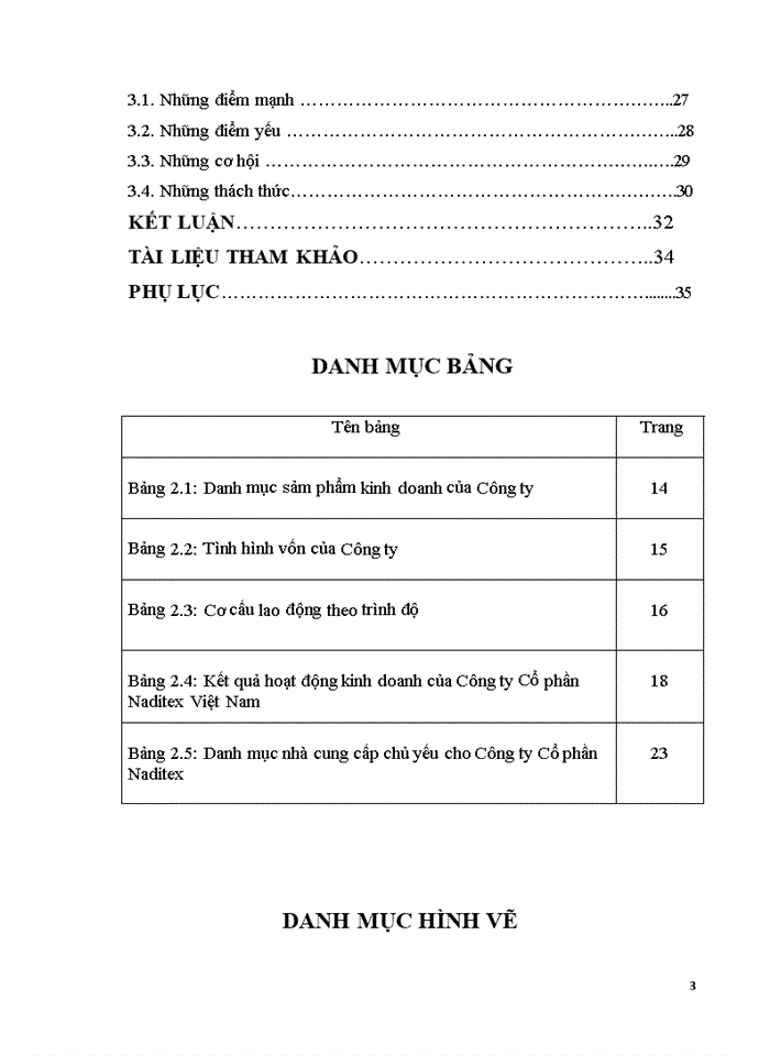 image for page Thực trạng kinh doanh và quản trị của Công ty CP Naditex Việt Nam