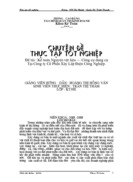 Kế toán Nguyên vật liệu – Công cụ dụng cụ tại Công ty Cổ Phần Xây Lắp Điện Công Nghiệp.