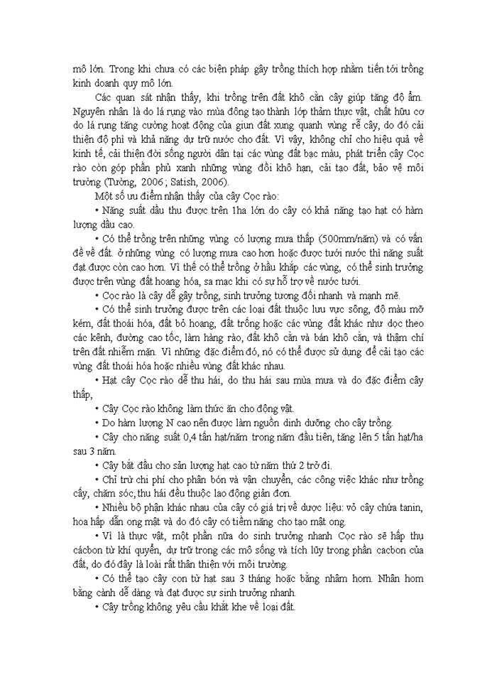 image for page Trồng cây cọc rào trên đất trống đồi núi trọc tạo công ăn việc làm, tạo nguồn năng lượng sinh học, bảo vệ môi trường