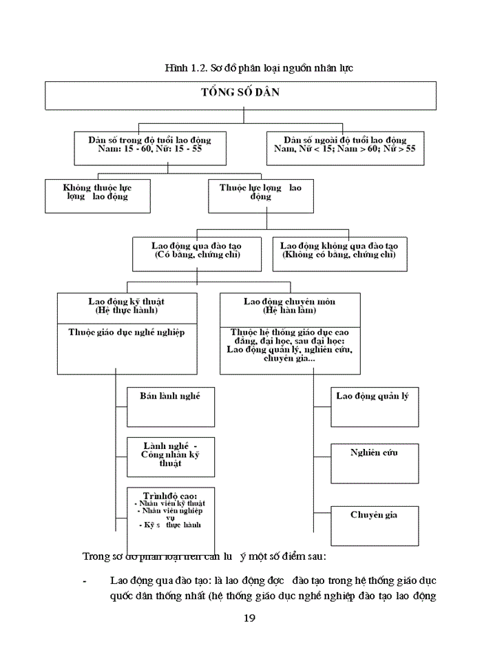 image for page Kinh tế tri thức và vấn đề phát triển nguồn nhân lực ở Việt Nam