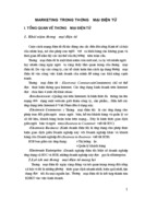 Marketing trong thương mại điện tử