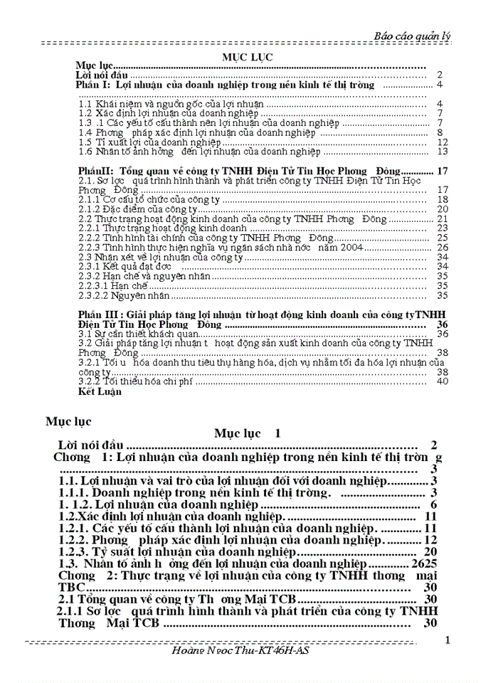 Báo cáo về tình hình lợi nhuận của công ty TNHH Điện tử và Tin học Phương Đông