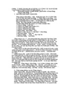 Một số giải pháp nhằm nâng cao hiệu quả về tổ chức văn phòng Tổng Công ty mía đường I.