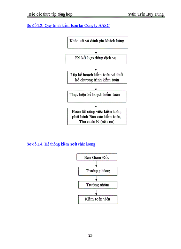 image for page Tổ chức công tác kiểm toán tại công ty dịch vụ tư vấn tài chính kế toán và kiểm toán