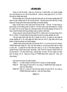 Tổ chức hạch toán  nguyên liệu vật liệu với việc nâng cao hiệu quả sử dụng vốn lưu động tại Công ty TNHH phát triển mạng lưới toàn cầu Nam Dũng