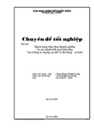 Hạch toán tiêu thụ thành phẩm và xác định kết quả tiêu thụ tại Công ty dụng cụ cắt và đo lường cơ khí
